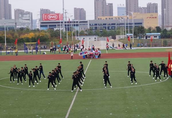 QQ图片20151113101021.jpg