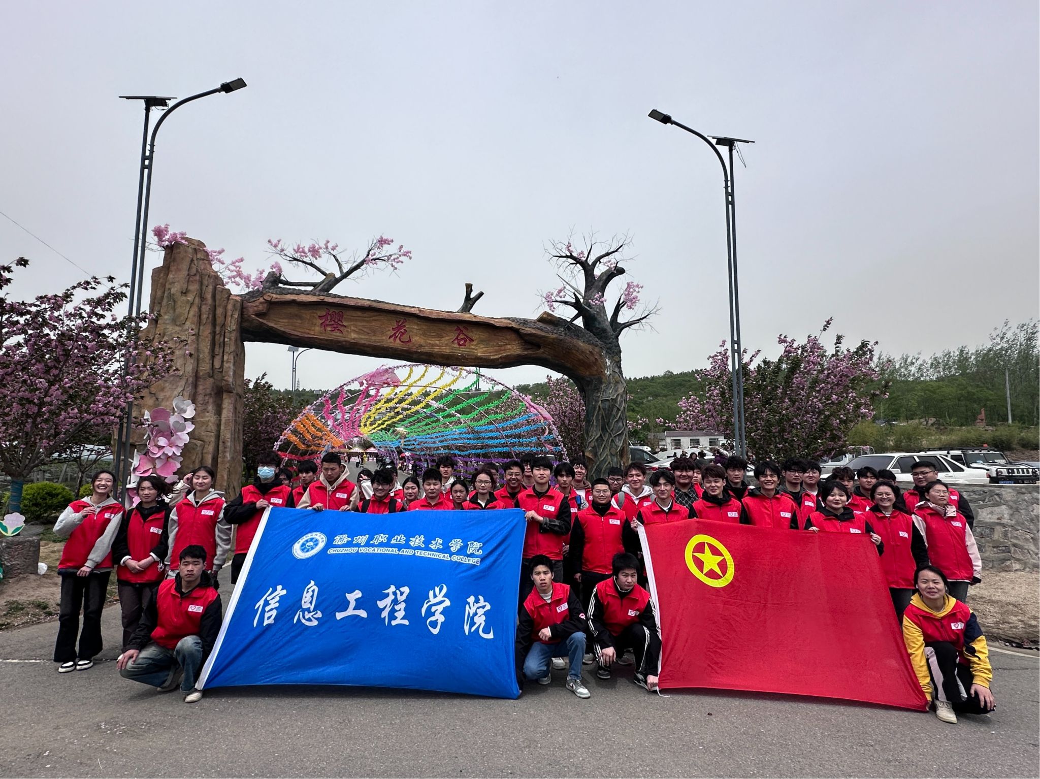 青春志愿行,樱约正当时——信息工程学院赴来安樱花谷开展志愿服务活动