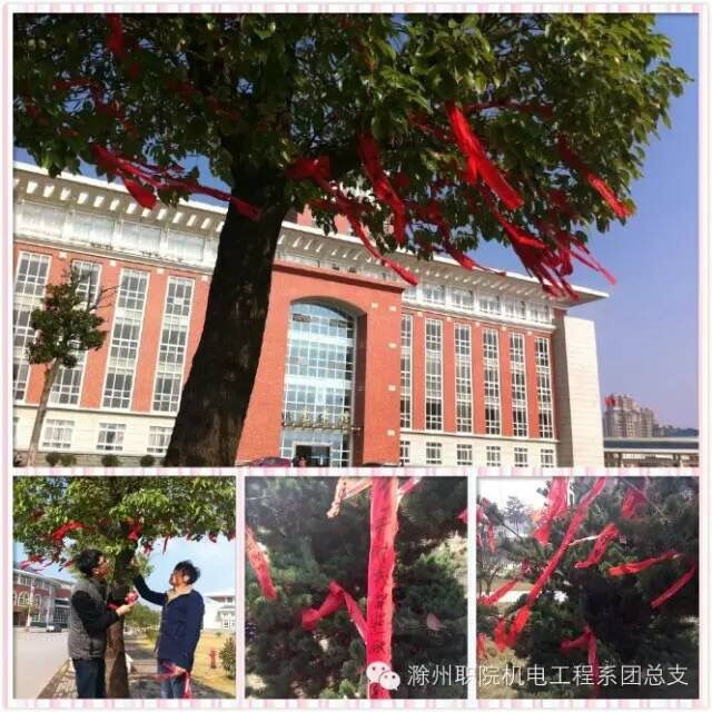 QQ图片20151127171845.jpg